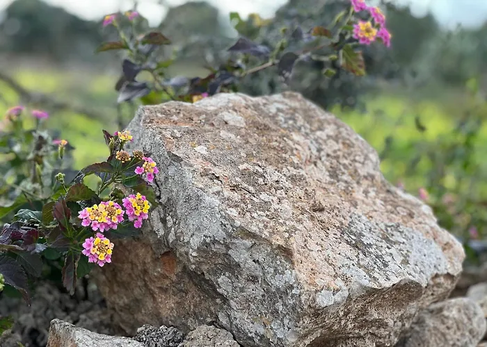 Finca Casa Farah