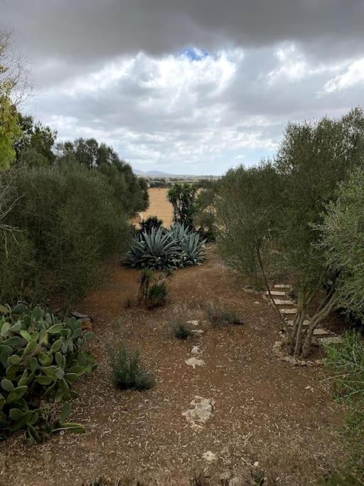 Ferienhaus Casa Farah Ses Salines (Mallorca)