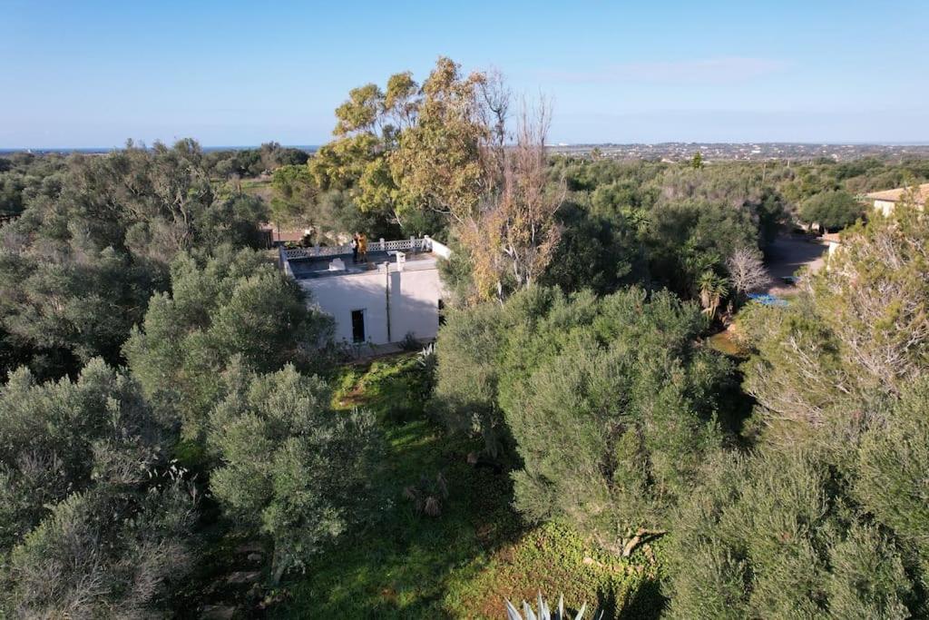 Casa Farah * Ses Salines (Mallorca)