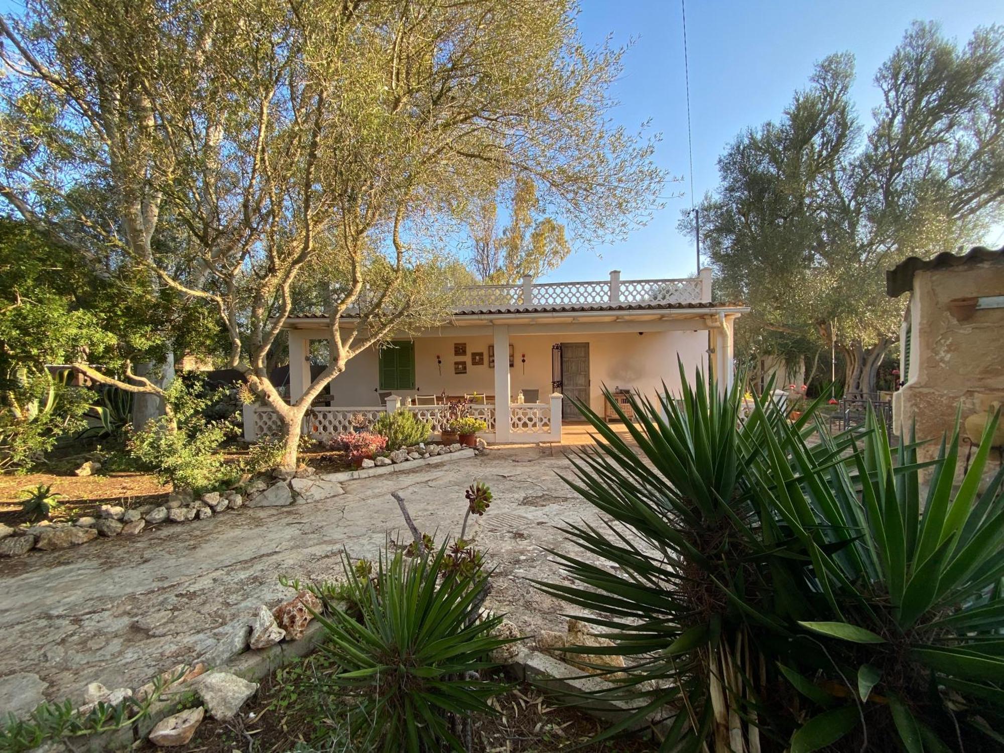 Ferienhaus Casa Farah Ses Salines (Mallorca)