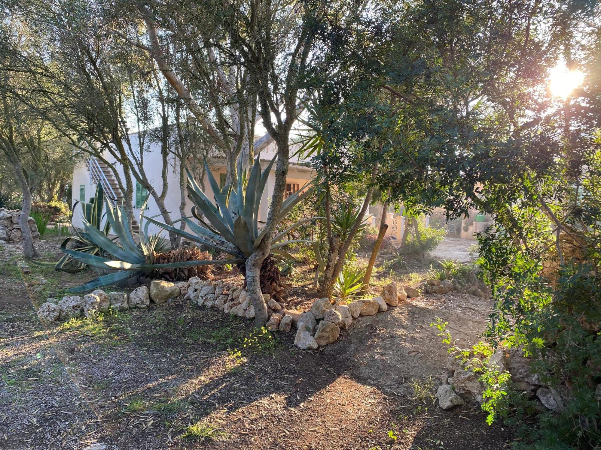 Casa Farah
