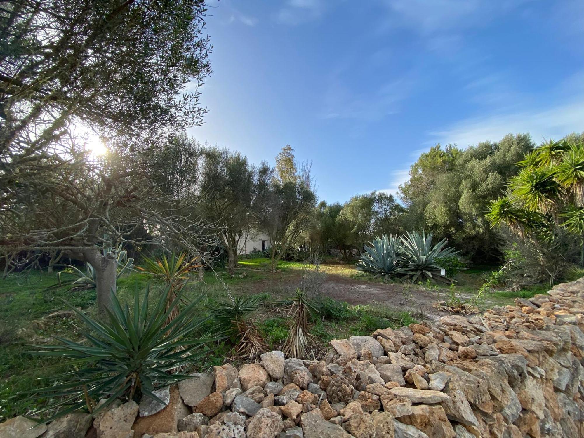 Casa Farah Ferienhaus *
